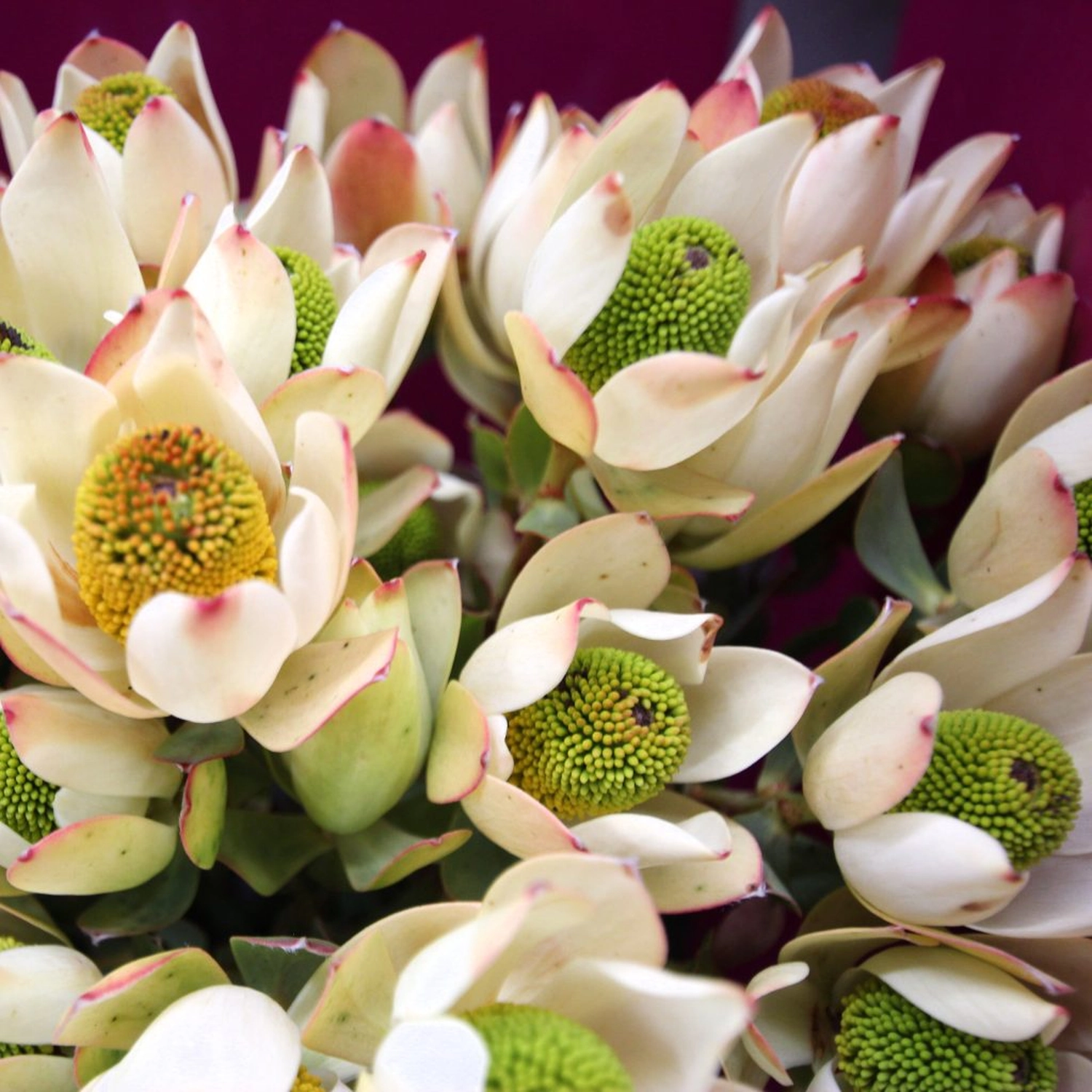 Tetta Knoll - Blumenhandwerk - Hochzeitsfolirstik