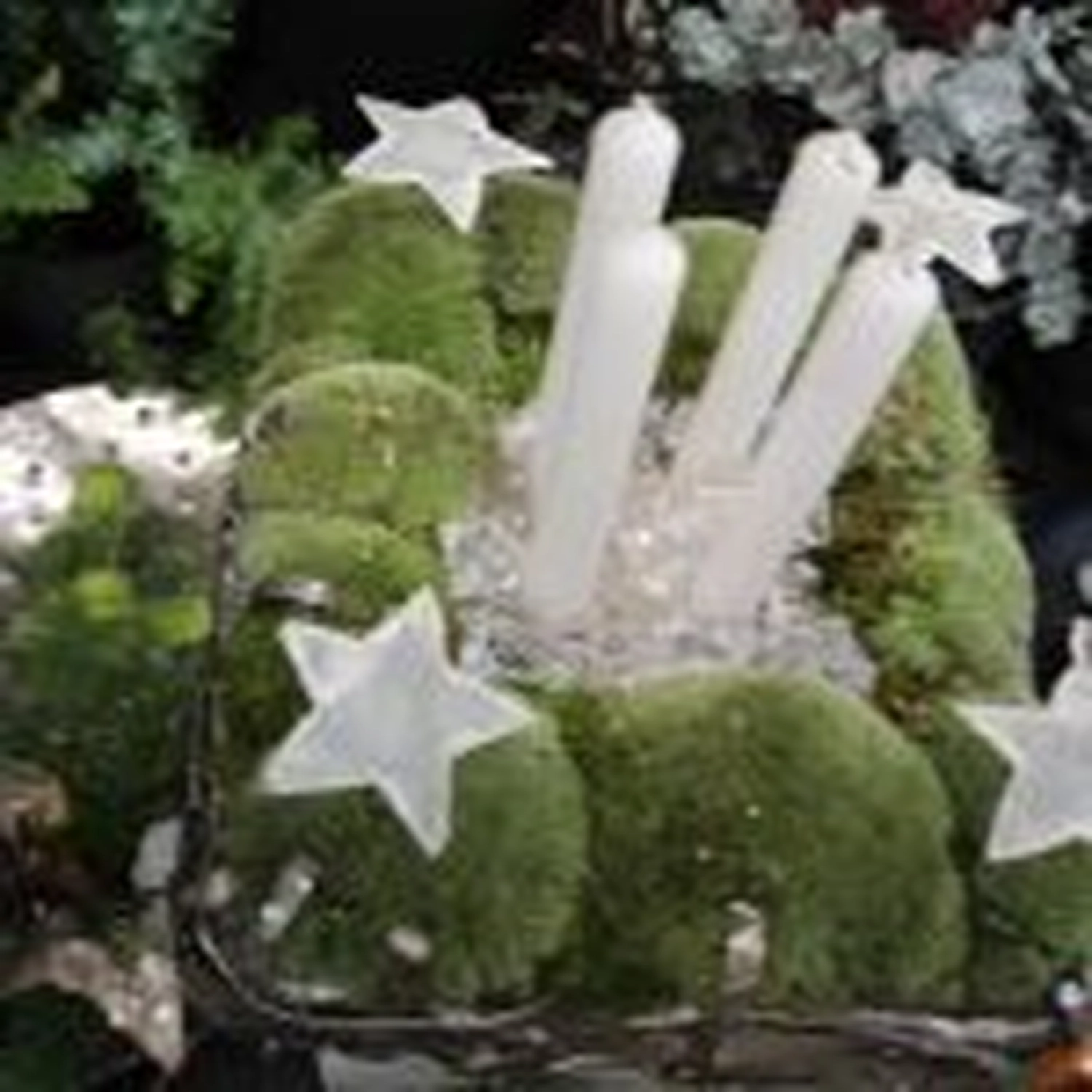 Tetta Knoll - Blumenhandwerk - Weihnachtsfloristik