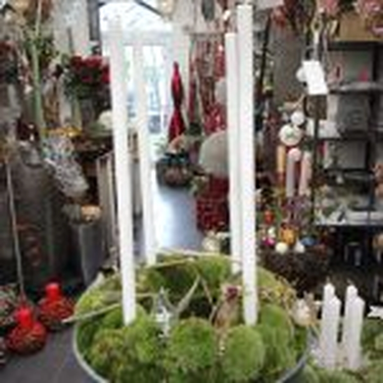 Tetta Knoll - Blumenhandwerk - Weihnachtsfloristik