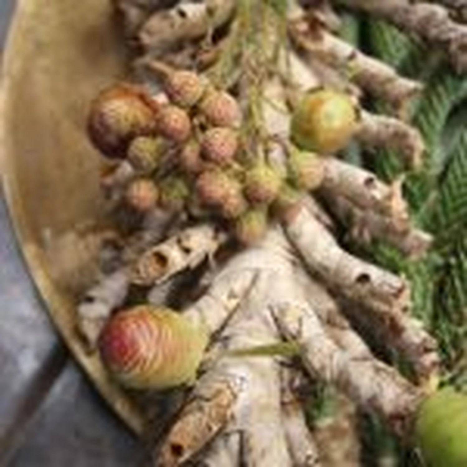 Tetta Knoll - Blumenhandwerk - Weihnachtsfloristik