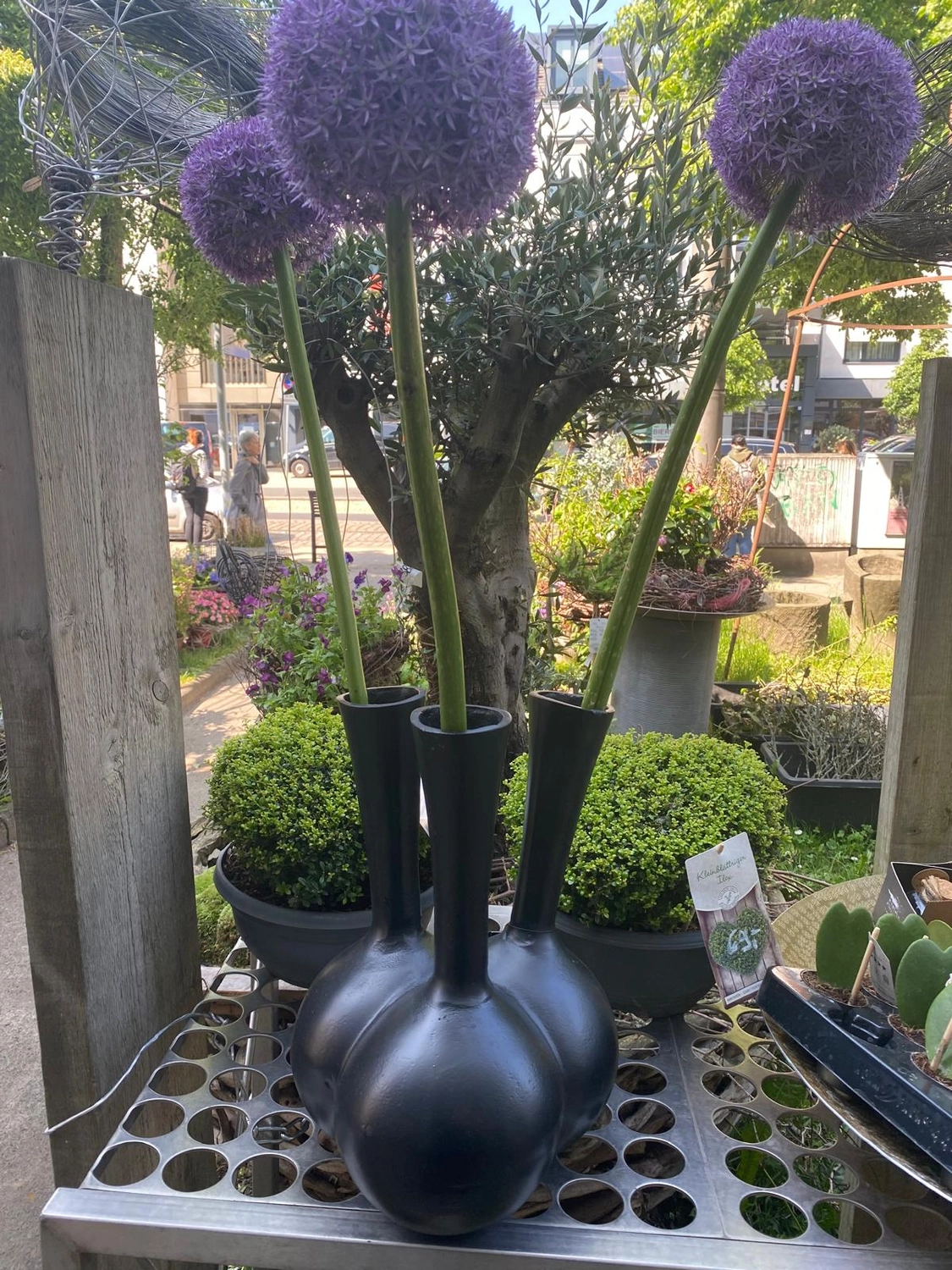 Tetta Knoll - Blumenhandwerk - Eventfloristik