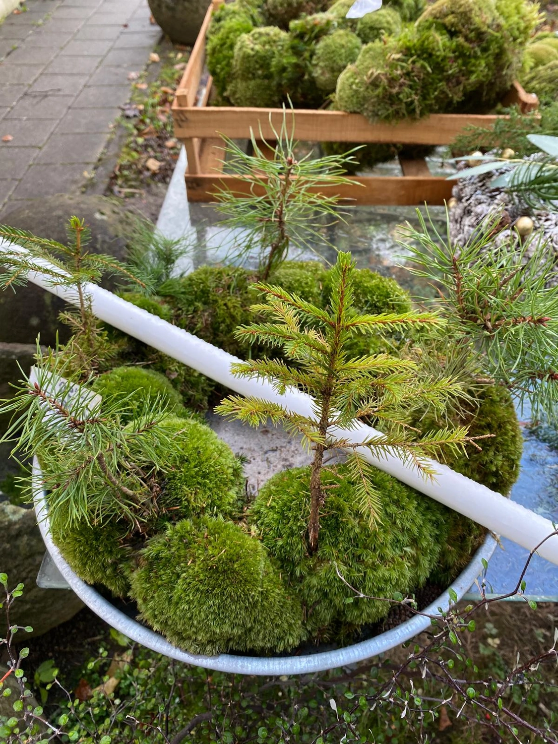 Tetta Knoll - Blumenhandwerk - Weihnachtsfloristik!