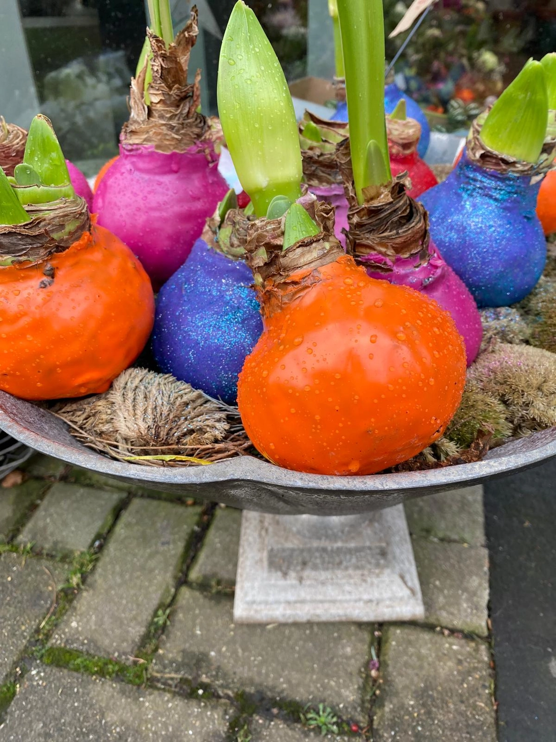 Tetta Knoll - Blumenhandwerk - Weihnachtsfloristik!