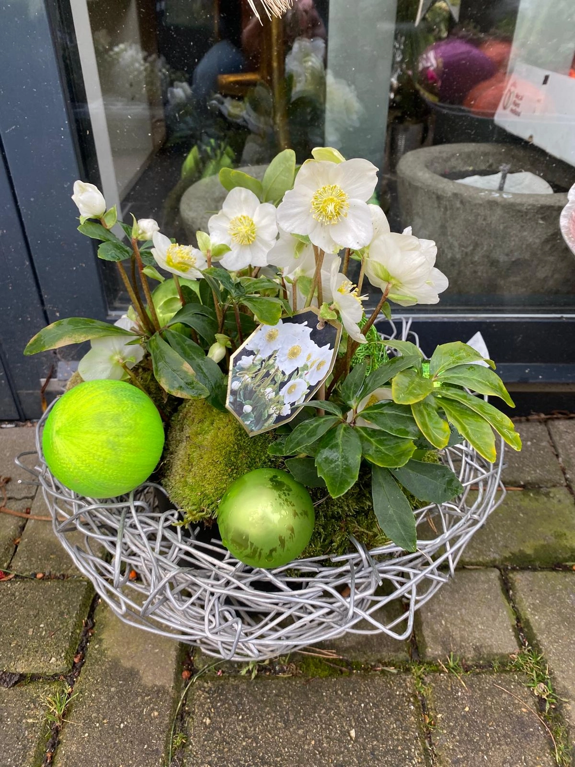 Tetta Knoll - Blumenhandwerk - Weihnachtsfloristik!