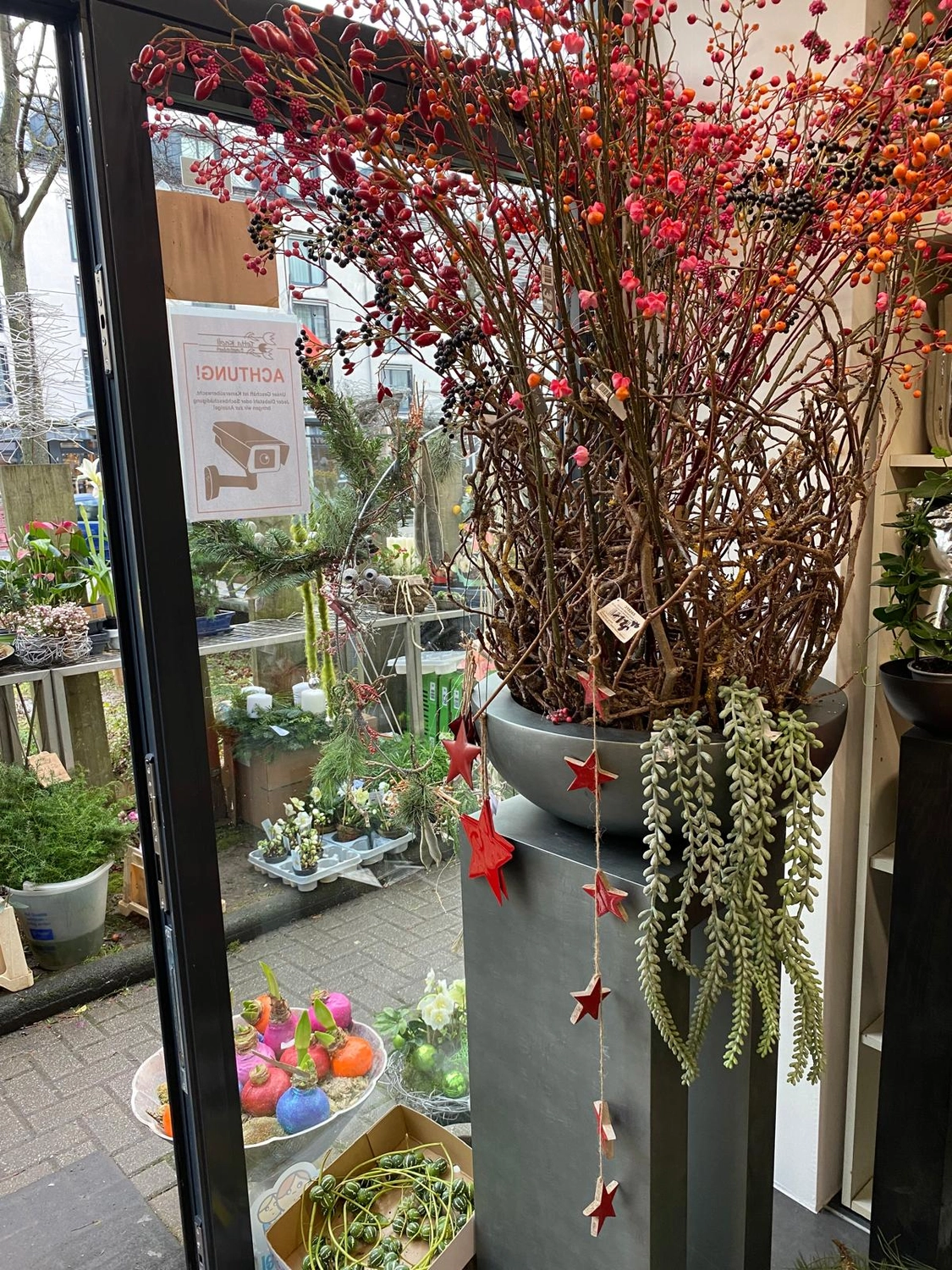 Tetta Knoll - Blumenhandwerk - Weihnachtsfloristik!