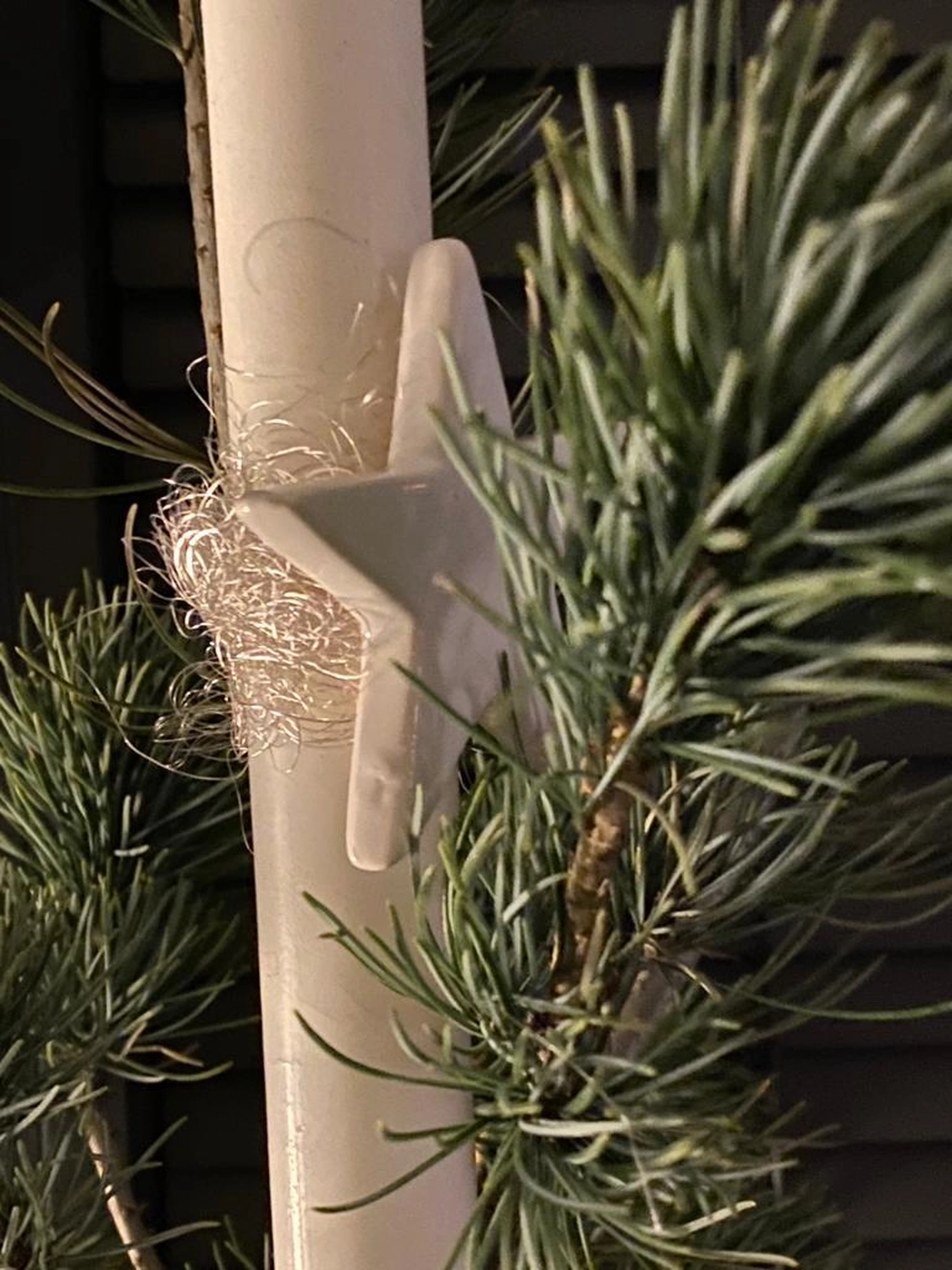 Tetta Knoll - Blumenhandwerk - Weihnachtsfloristik!