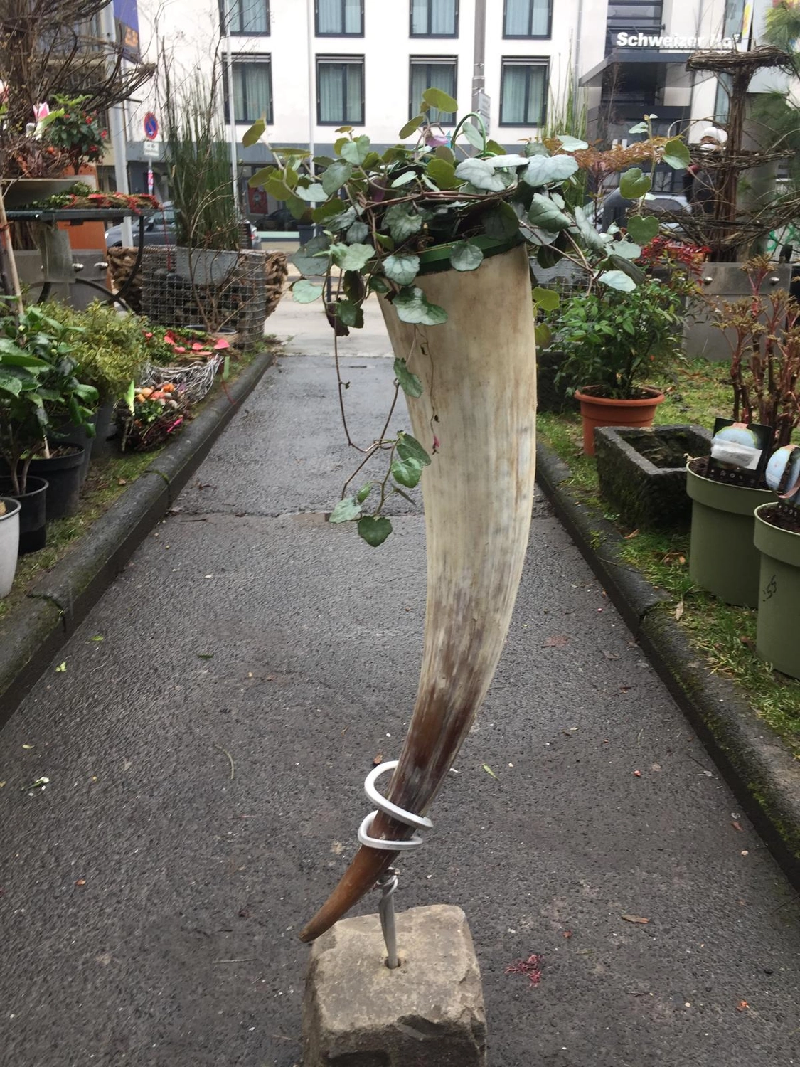 Tetta Knoll - Blumenhandwerk - Eventfloristik